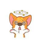 Corgi Pon Pon（個別スタンプ：11）