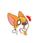 Corgi Pon Pon（個別スタンプ：12）