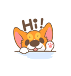 Corgi Pon Pon（個別スタンプ：13）