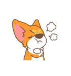 Corgi Pon Pon（個別スタンプ：16）