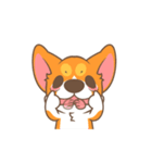 Corgi Pon Pon（個別スタンプ：17）