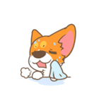 Corgi Pon Pon（個別スタンプ：22）