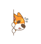 Corgi Pon Pon（個別スタンプ：24）