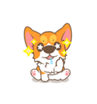 Corgi Pon Pon（個別スタンプ：25）