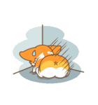 Corgi Pon Pon（個別スタンプ：30）