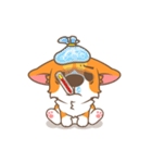 Corgi Pon Pon（個別スタンプ：31）