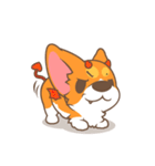 Corgi Pon Pon（個別スタンプ：34）