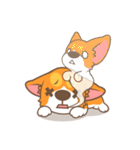 Corgi Pon Pon（個別スタンプ：35）