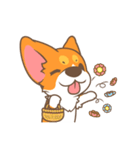 Corgi Pon Pon（個別スタンプ：36）