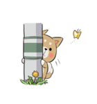 しば犬まろ（個別スタンプ：21）