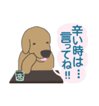 つぶやきいぬ3（個別スタンプ：5）