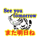 猫で会話 英単語 中級（個別スタンプ：10）