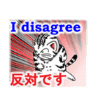 猫で会話 英単語 中級（個別スタンプ：17）