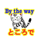 猫で会話 英単語 中級（個別スタンプ：30）