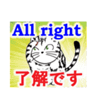 猫で会話 英単語 中級（個別スタンプ：40）