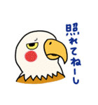 色とりどりの鳥（個別スタンプ：5）