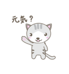 猫のニャン太くん（個別スタンプ：1）