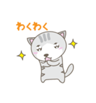 猫のニャン太くん（個別スタンプ：13）