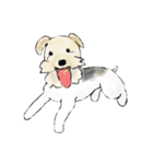 Fox Terrier（個別スタンプ：6）