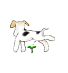 Fox Terrier（個別スタンプ：8）