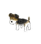 Fox Terrier（個別スタンプ：13）