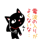 RADIO CAT（個別スタンプ：30）