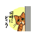 にゃんずらいふ2（テニス猫 ver.)（個別スタンプ：4）