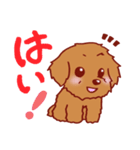 トイプードル 犬スタンプ（個別スタンプ：1）