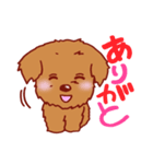 トイプードル 犬スタンプ（個別スタンプ：9）