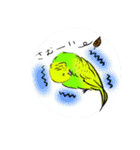 インコはじめました（個別スタンプ：7）