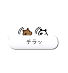 ぱんだらフキダシでトーク（個別スタンプ：15）