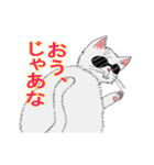 グラサンねこ（個別スタンプ：2）