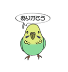 セキセイインコのレモンちゃん（個別スタンプ：6）