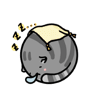 Round cat is a quitter（個別スタンプ：15）