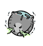 Round cat is a quitter（個別スタンプ：25）