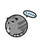 Round cat is a quitter（個別スタンプ：29）