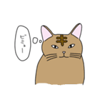 断り猫（個別スタンプ：12）