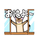 ねこ好きのためのねこスタンプ（個別スタンプ：1）