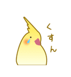 インコの日常（個別スタンプ：12）