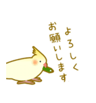 インコの日常（個別スタンプ：19）