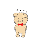 Mr.teddybear（個別スタンプ：5）