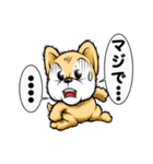 キナコ（個別スタンプ：29）