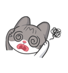 Meow Daily Expressions（個別スタンプ：16）