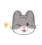 Meow Daily Expressions（個別スタンプ：40）