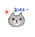 どらねこ ぽんちょ（個別スタンプ：1）