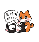 Shiba couple（個別スタンプ：24）