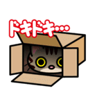 キジトラにゃん仔猫（個別スタンプ：2）