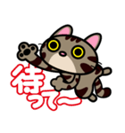 キジトラにゃん仔猫（個別スタンプ：4）