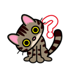 キジトラにゃん仔猫（個別スタンプ：5）