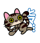 キジトラにゃん仔猫（個別スタンプ：9）